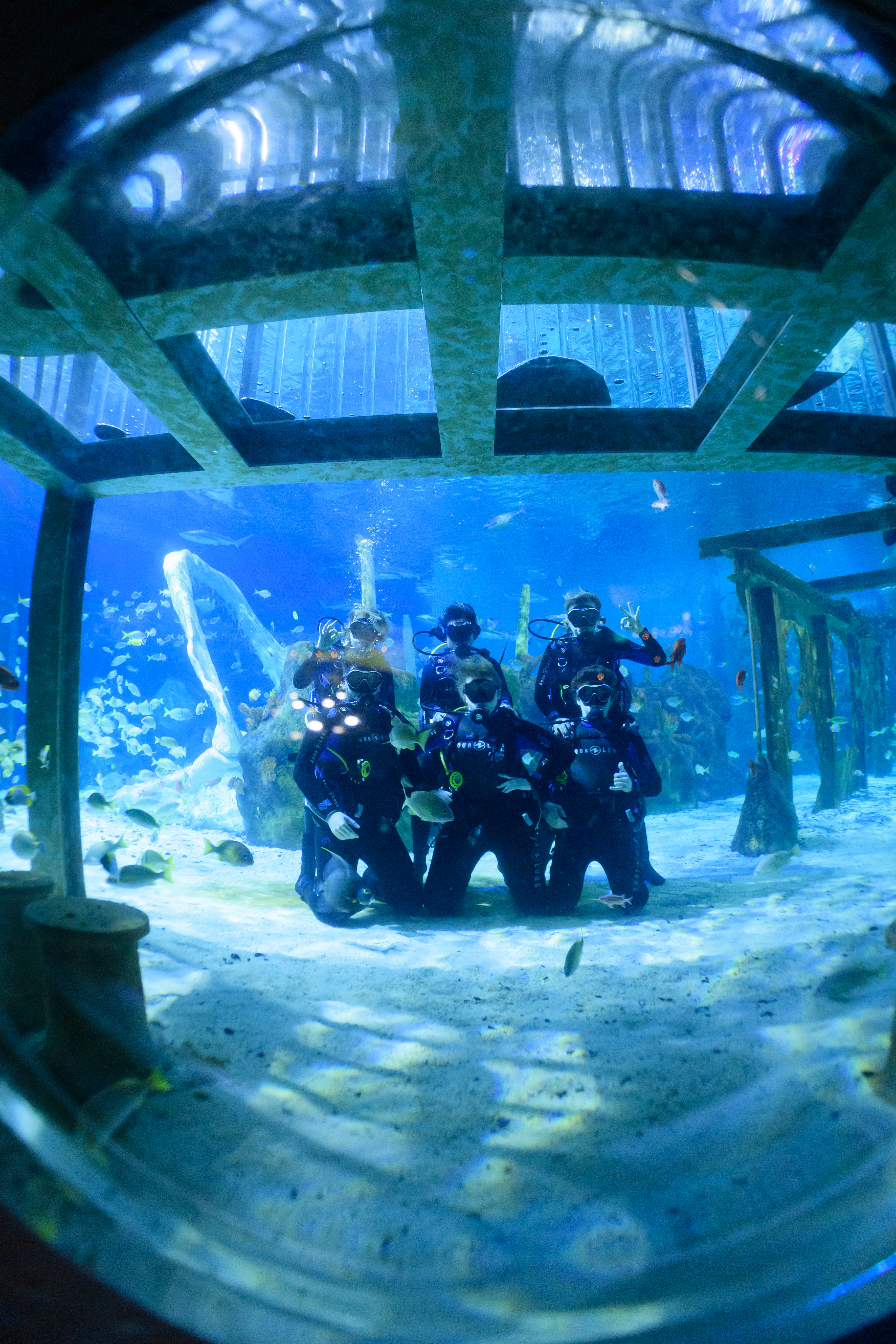 Group of friends pose underwater in Dive tank at The Bear Grylls Adventure