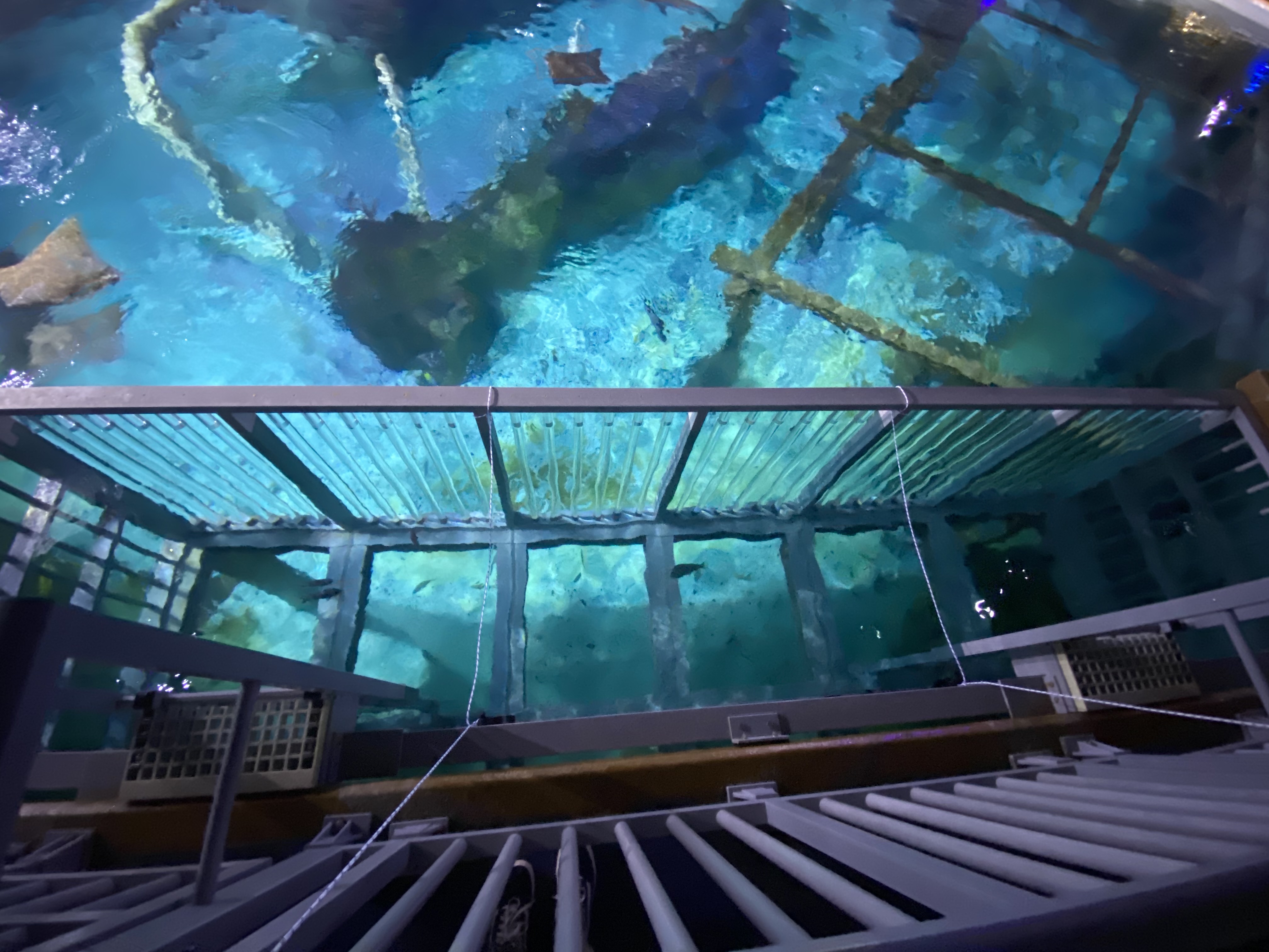 Snorkel Cage at The Bear Grylls Adventure