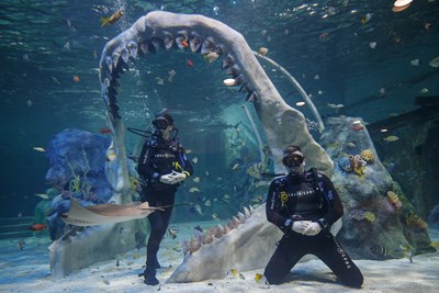 Couple pose underwater in Dive tank at The Bear Grylls Adventure surrounded by fish