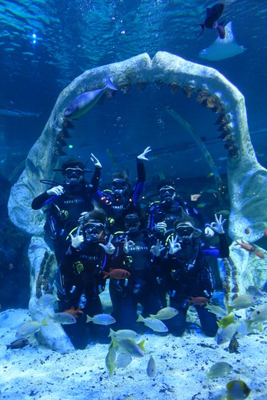 Group of friends pose underwater in Dive tank at The Bear Grylls Adventure